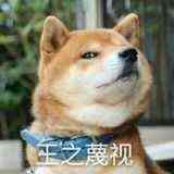 王之蔑视