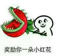 说是奖励一朵小红花,其实是送一朵长着牙的食人花.