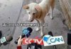 请问2017你有脱单的信心吗