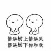 懵逼树上懵逼果