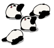 熊猫膜拜