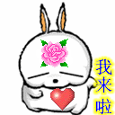 流氓兔：我来啦