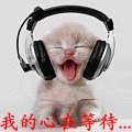 我的心在等待