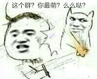 这个群你最萌么么哒
