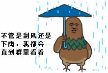 不管是刮风还是下雨，我都会一直到群里看看！