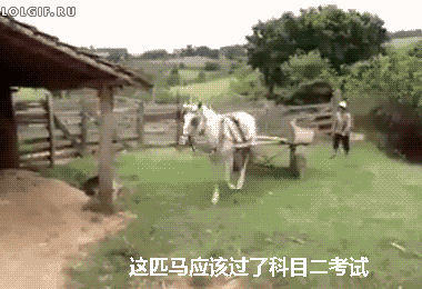 这匹马应该过了科目二考试