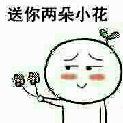 送你两朵小花