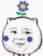 观望