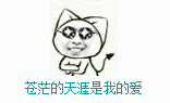 最炫名族风