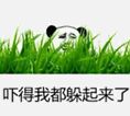 吓得我都躲起来了！