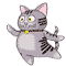 小猫原地转圈圈