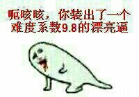 呃咳咳你装出了一个难度系数9.8的漂亮逼