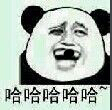 哈哈哈哈哈~