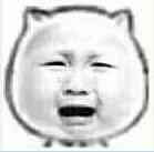 暴漫小猫委屈地哭