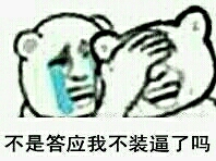 不是答应我不装逼了吗