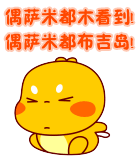 偶萨米都木看到！偶萨米都布吉岛！