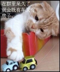 在群里待久了就会有车子和房子