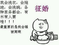 暴漫之征婚