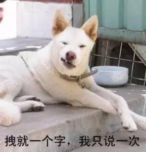 拽就一个字我只说一次