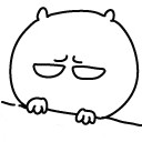 小猫白你一眼
