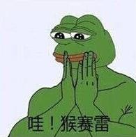 哇猴赛雷