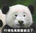 熊猫：吓得我黑眼圈都没了