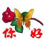 玫瑰和蝴蝶：你好！