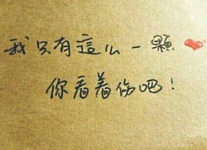 我就这么一颗心你就看着伤吧
