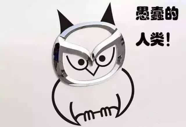 猫头鹰说愚蠢的人类