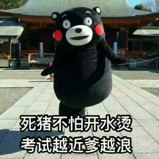 死猪不怕开水烫考试越近爹越浪