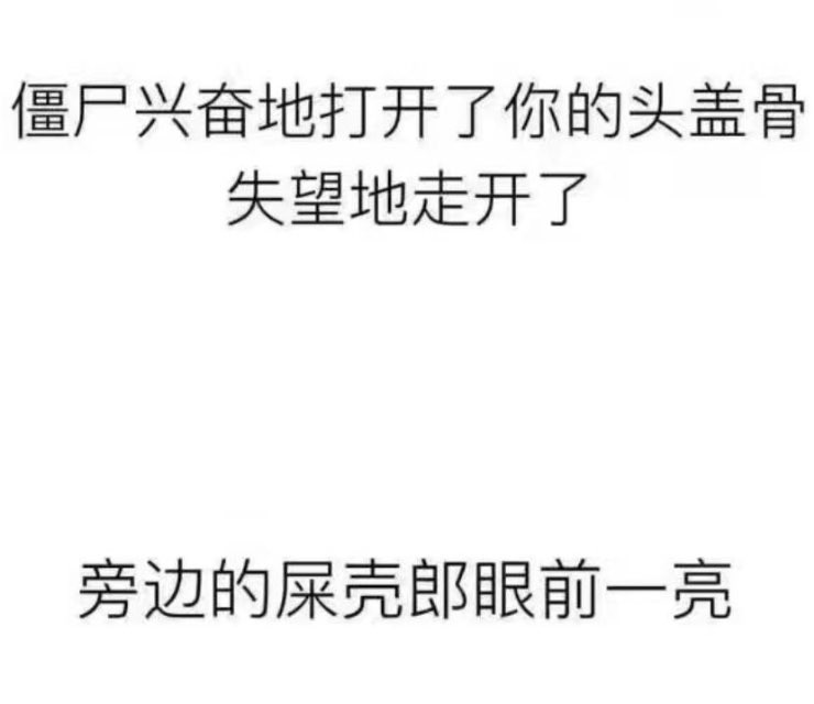 屎壳郎眼前一亮