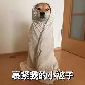 小狗：裹紧我的小被子