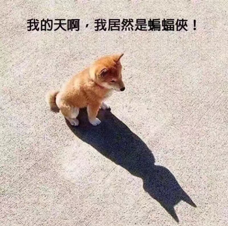 天啊我居然是蝙蝠侠