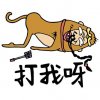 脑残猴说打我呀