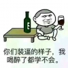 你们装逼我样子，我们喝醉了都学不会！