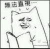 暴漫无法直视