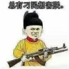 暴漫版总有刁民想害朕