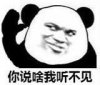 你说啥我听不见