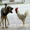 呸，你这只辣鸡！