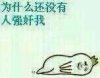 为什么还没有人强X我