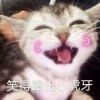 笑得露出了小虎牙