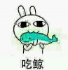 兔子吃鲸鱼
