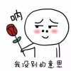 呐，没别的意思。