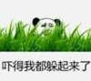 吓得我都躲起来了！