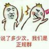 说了多少次，我们是正规群