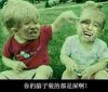你的脑子装的都是屎啊！