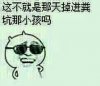 这不是那天掉粪坑那小孩吗？