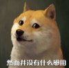 小狗然而并没有什么卵用