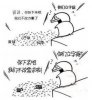 设计师被逼得不敢下来了