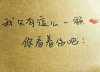 我就这么一颗心你就看着伤吧